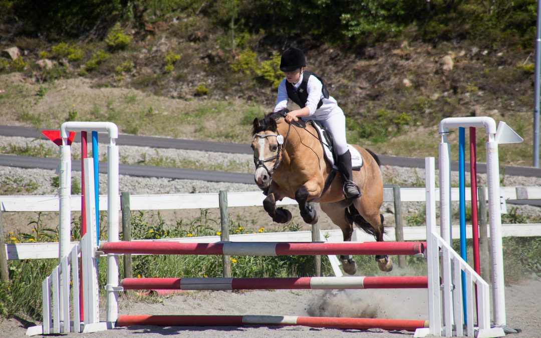 Klubbstevne i sprang 19. juni