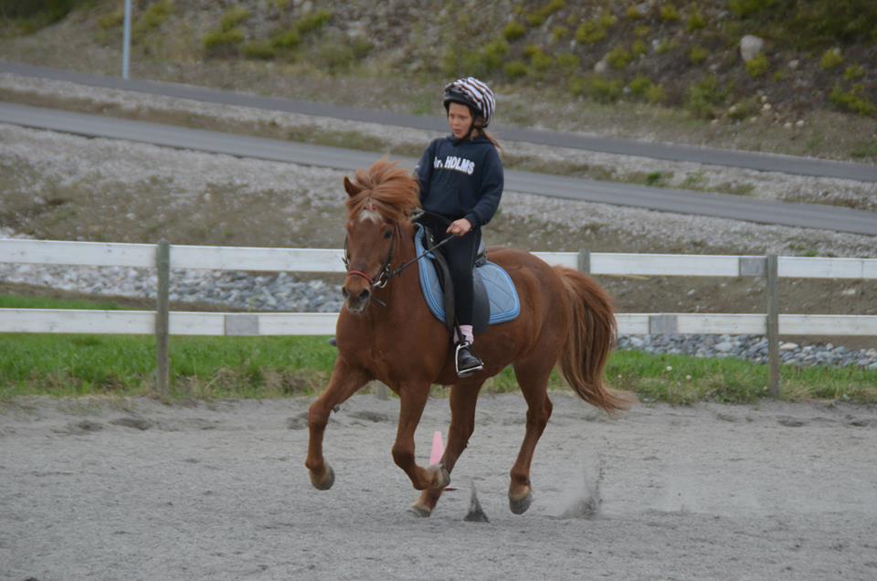 Takk for alt – Dreyri!